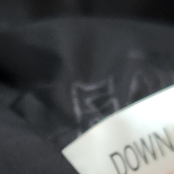 L.L. Bean Mens Regular Medium Goose Down Insulated Teal Blue Jacket two in one - Picture 5 of 15